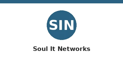 Image of Soul It Networks