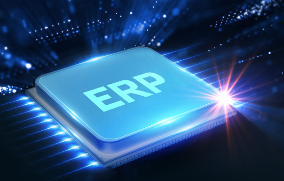 Police ERP