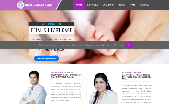 13 Fetal & Health Care