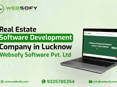 Real Estate Software Development Service in Lucknow