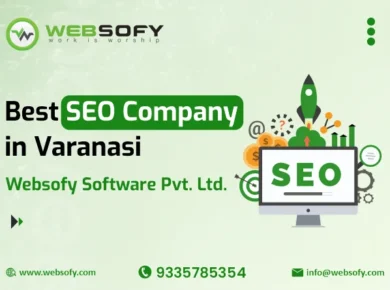 Best SEO Company in Varanasi offering result-driven search engine optimization services by Websofy Software Pvt. Ltd.