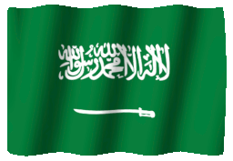 websofy Software Pvt.Ltd - seo service in UAE