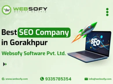 Professional SEO Service in Gorakhpur by Websofy Software Pvt. Ltd improving search rankings