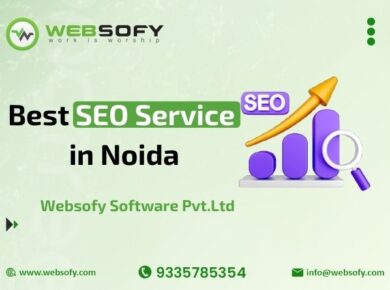 seo-service-in-noida