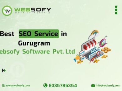 Professional SEO Service in Gurugram by Websofy Software Pvt. Ltd. for higher rankings and business growth