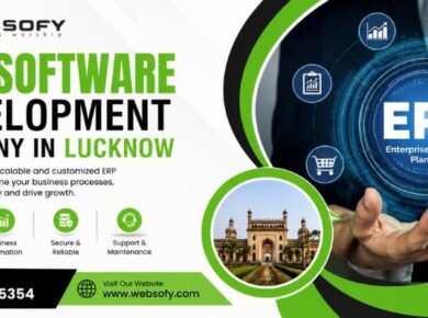 ERP Software Development Company in Lucknow