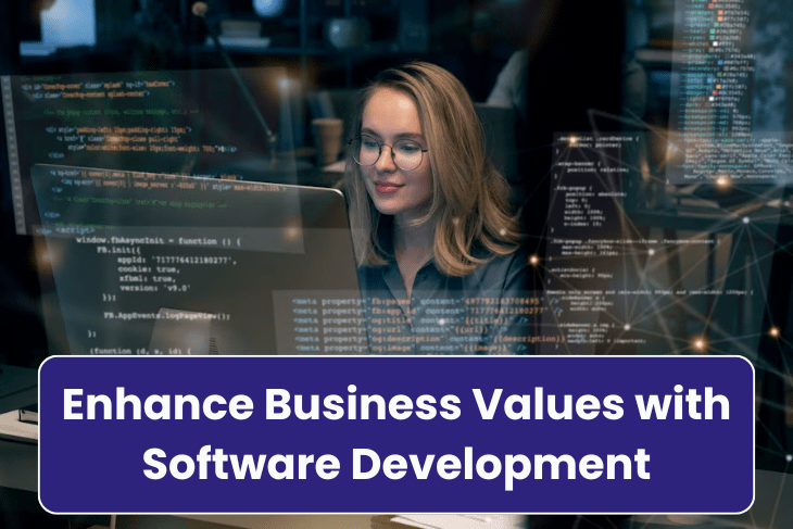 Enhance Business Values with Software Development
