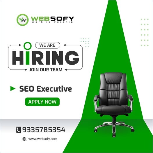 SEO Executive