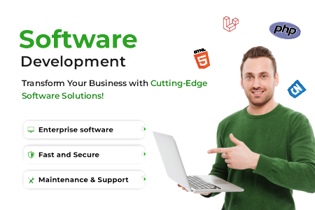 software development